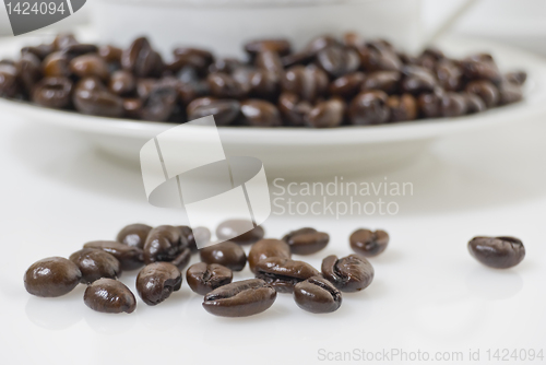 Image of Coffee Beans