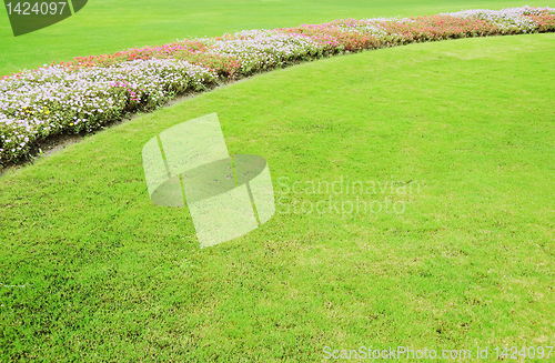Image of Flowers