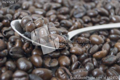 Image of Coffee Beans