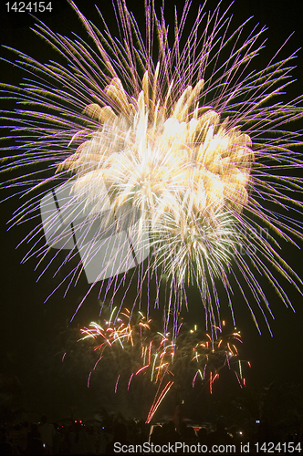 Image of Fireworks