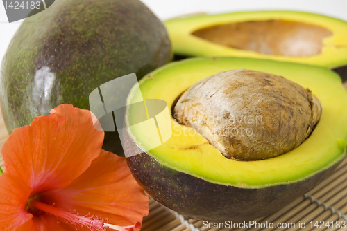 Image of Avocado