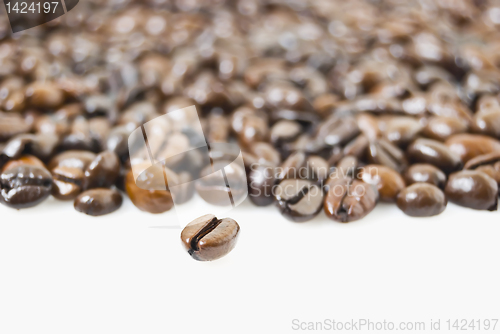 Image of Coffee Beans