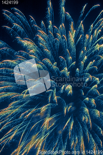 Image of Fireworks 