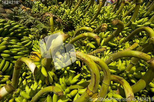 Image of Banana