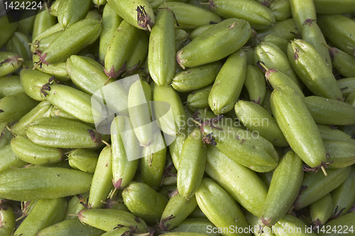 Image of Bilimbi