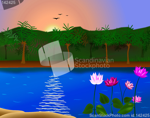 Image of landscape with flower