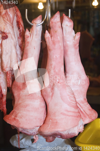 Image of Pig