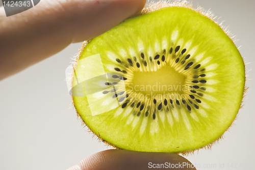 Image of Kiwi