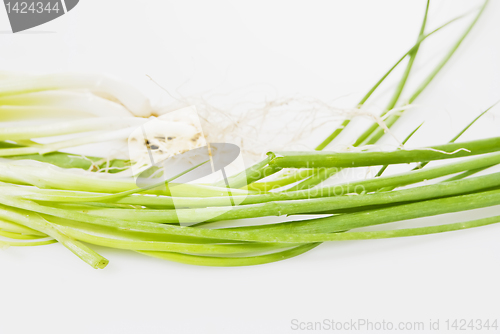 Image of Spring Onions