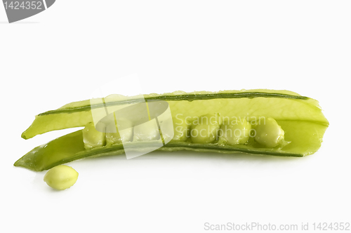 Image of Green Pea