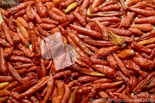 Image of Hot Pepper