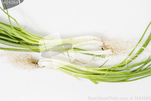 Image of Spring Onions