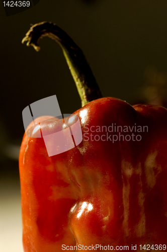 Image of Bell Pepper