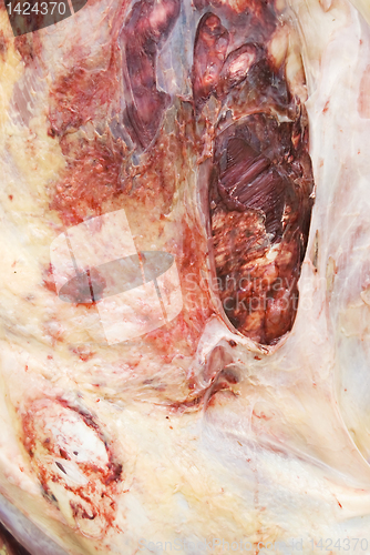 Image of Ox Meat