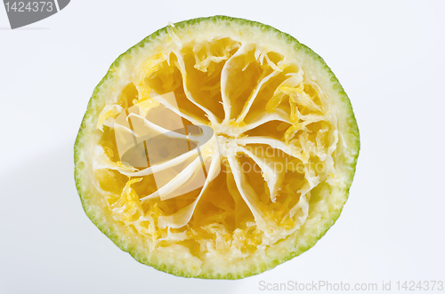 Image of Orange