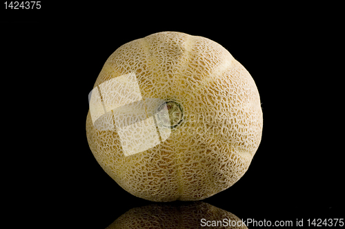 Image of Melon