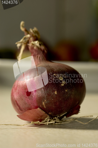 Image of Onion