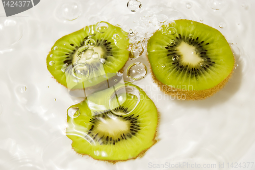 Image of Kiwi