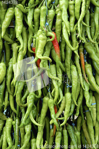 Image of Hot Chilis