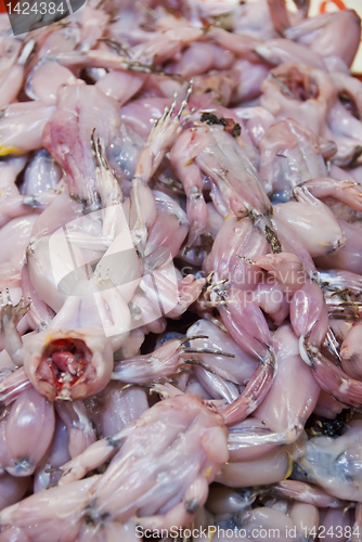 Image of Frog Meat