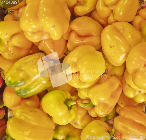 Image of Yellow Pepper