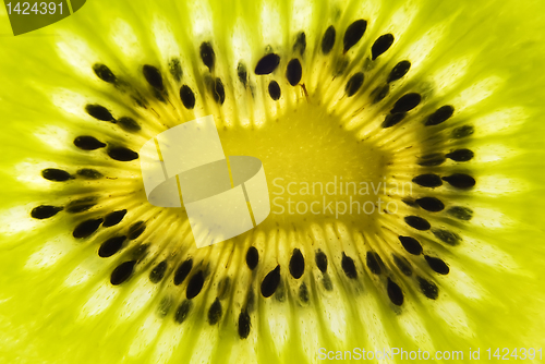 Image of Kiwi
