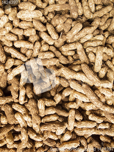 Image of Peanuts