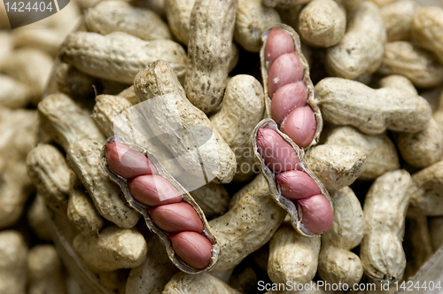 Image of Peanuts