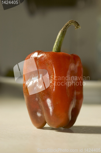 Image of Red Bell Pepper