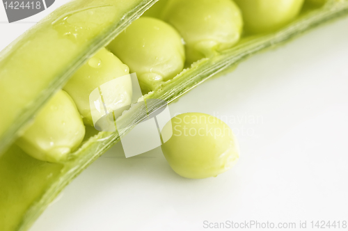 Image of Green Pea