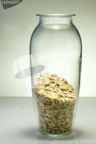 Image of Oatmeal