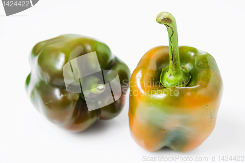 Image of Red Bell Pepper