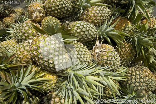 Image of Pineapple