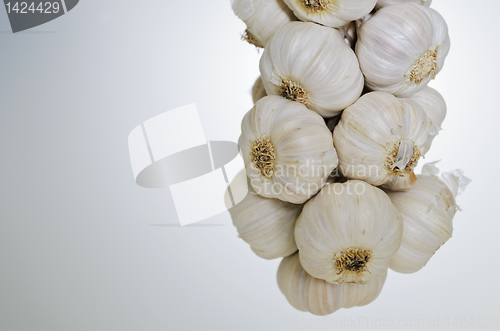 Image of Garlic