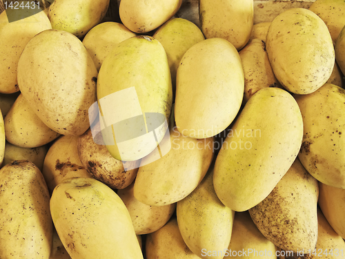Image of Ripe Mangoes