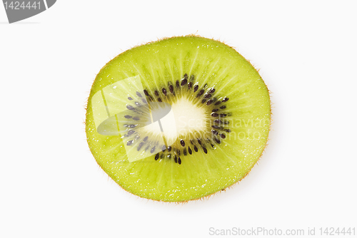 Image of Kiwi