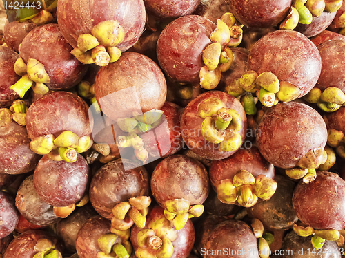 Image of Mangosteen