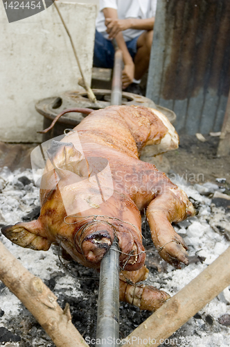 Image of Roast Pig
