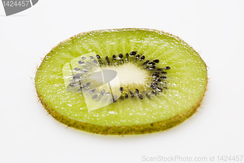 Image of Kiwi