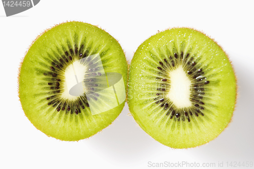 Image of Kiwi