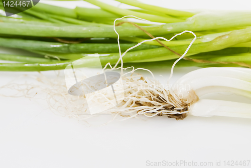 Image of Spring Onions