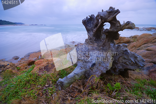 Image of Seascape in South Africa