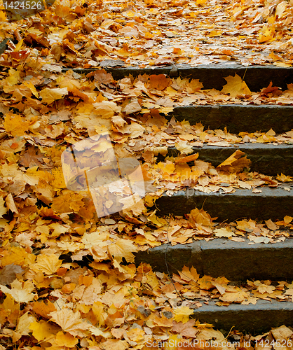 Image of Stairs in Autumn