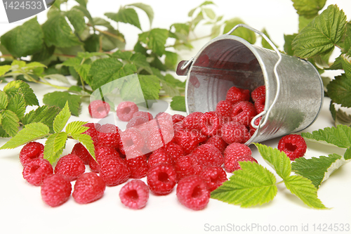 Image of Raspberries