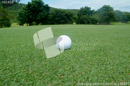 Image of Golf ball on green