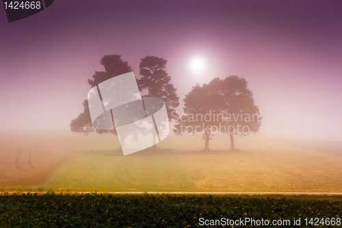 Image of foggy sun