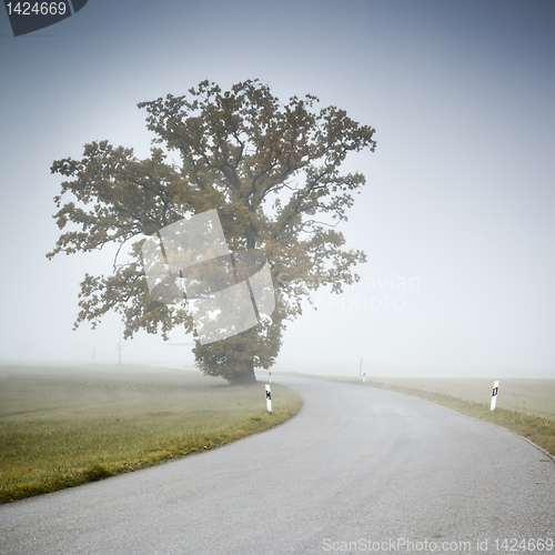 Image of nebel
