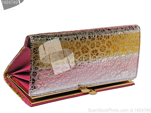 Image of luxurious wallet  isolated 