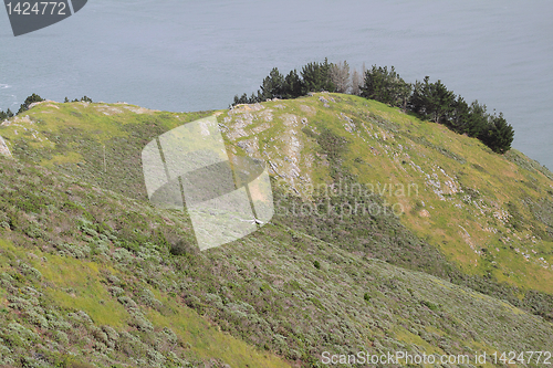 Image of A hill by the ocean