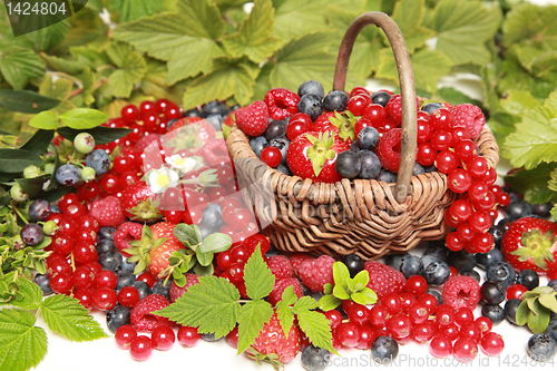 Image of Berries